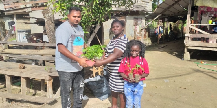 Plantenmateriaal van LVV moet gezin helpen besparen op voedselkosten en werken aan zelfredzaamheid.