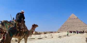 egypte pyramide kameel