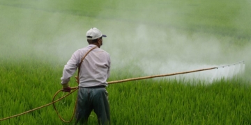 gramoxone gramaxone paraquat herbicide spuit