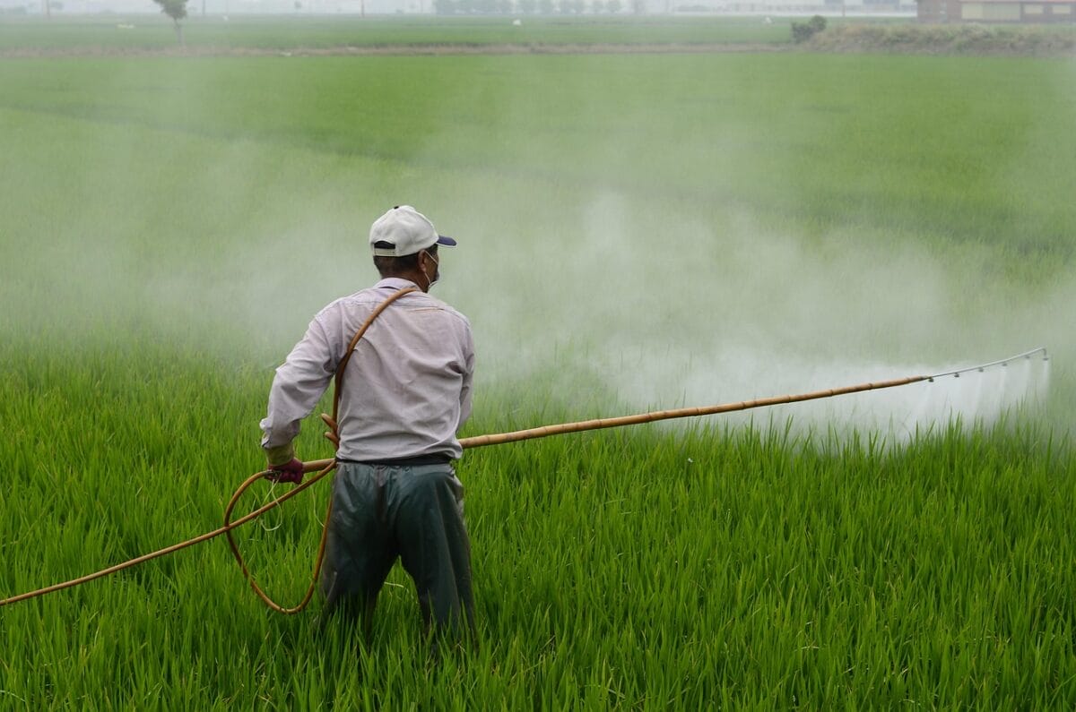 gramoxone gramaxone paraquat herbicide spuit