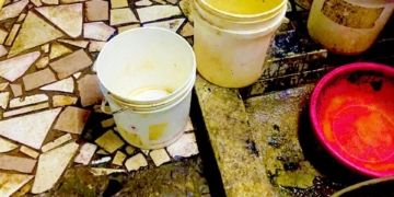 628279186 122257555094202744 294640114867092433 n