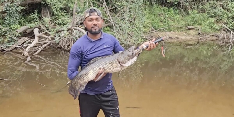 Anjoemara Wolf Vis Arvi Fishing Adventures