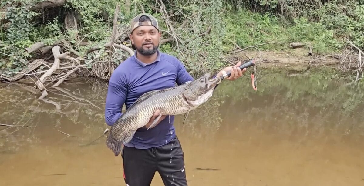 Anjoemara Wolf Vis Arvi Fishing Adventures