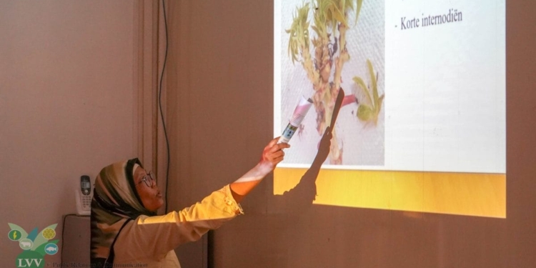 Voorlichters van ministerie LVV instrueren telers over herkenning van cassaveziekte in oostelijke regio