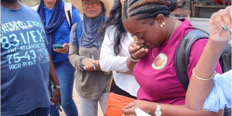 DOAB en LVV bij veldbezoek voor onderzoek naar cassaveziekte in Marowijne