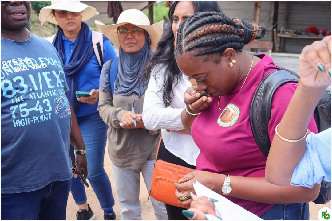 DOAB en LVV bij veldbezoek voor onderzoek naar cassaveziekte in Marowijne