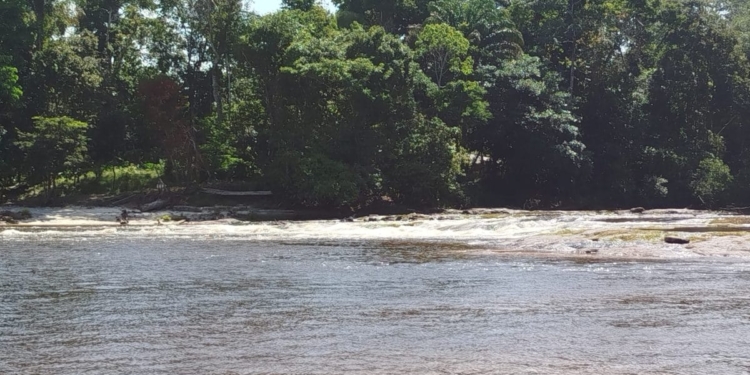 [Aggregator] Downloaded image for imported item #431260