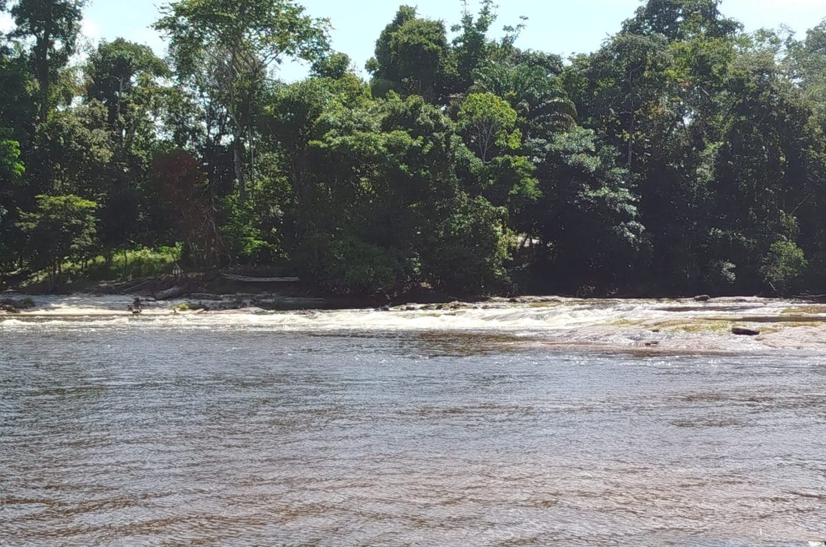 [Aggregator] Downloaded image for imported item #431260