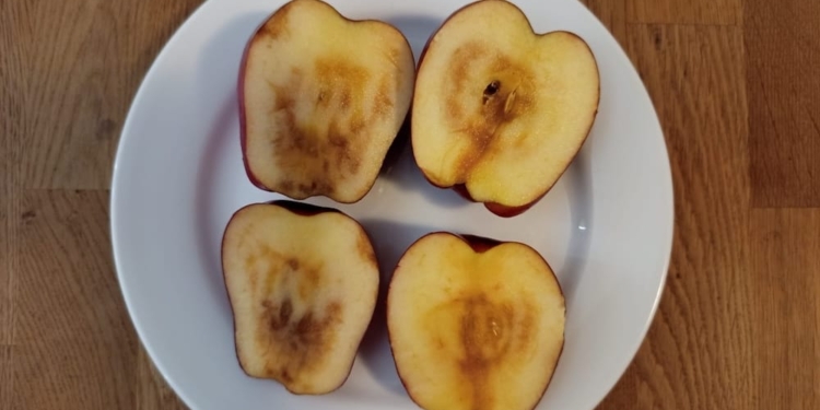 appels bedorven suriname