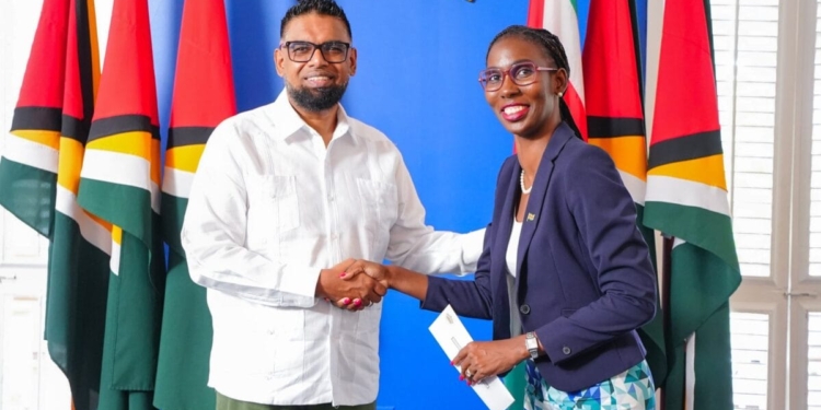 blankendal en irfaan ali