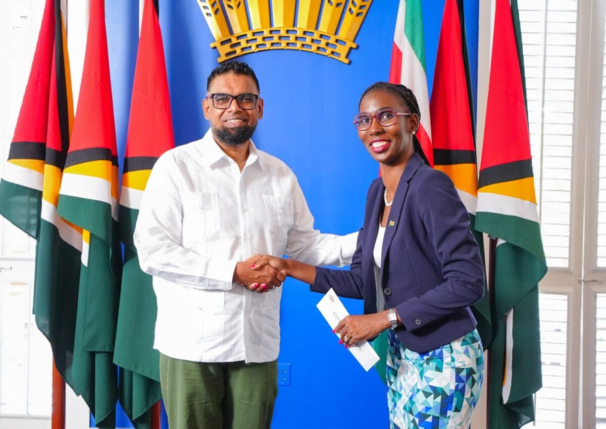 blankendal en irfaan ali