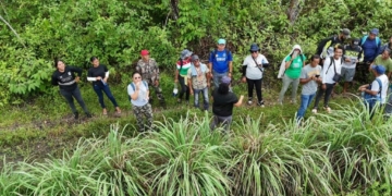 drone shot in het bos 1024x576