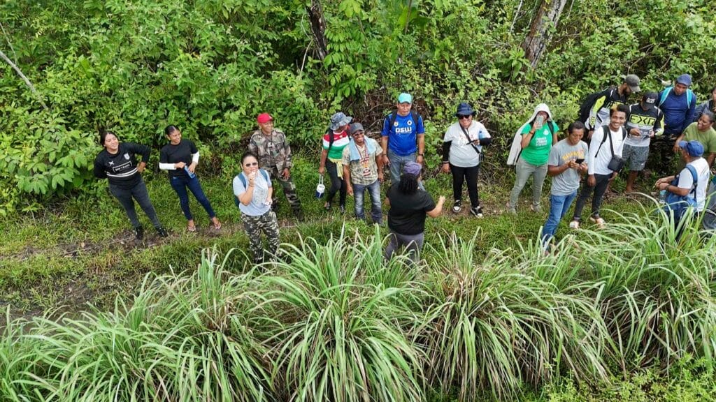 drone shot in het bos 1024x576