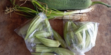groenten fruit