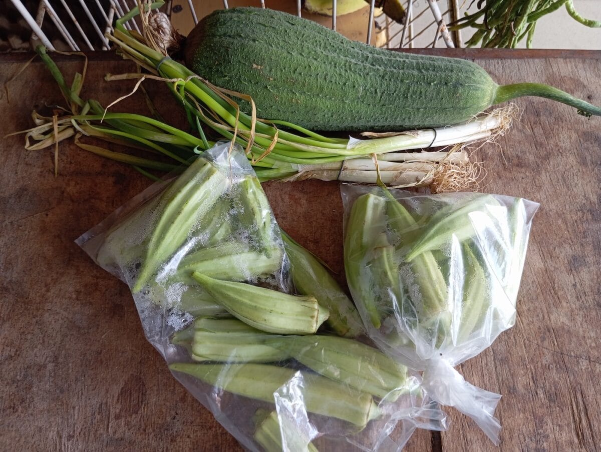 groenten fruit