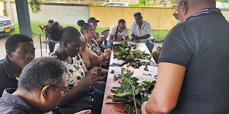 landbouwtraining DNL