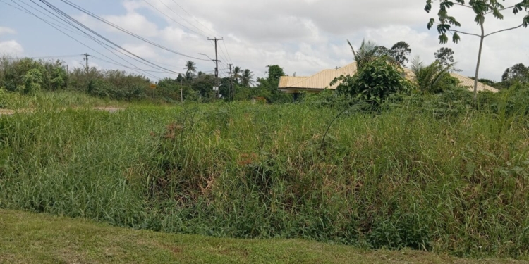 perceel trens goot suriname