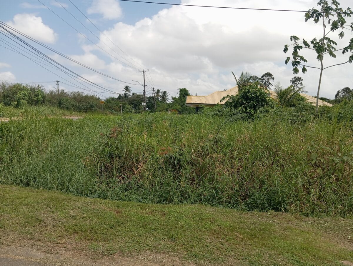 perceel trens goot suriname