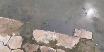 riolering riool verstopt