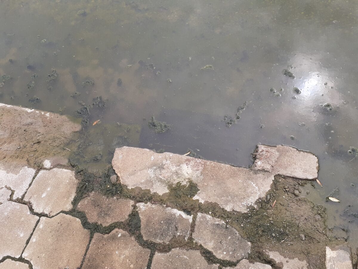 riolering riool verstopt