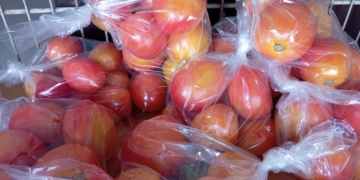 tomaten groenten fruit