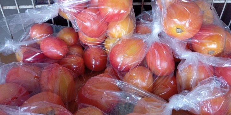 tomaten groenten fruit