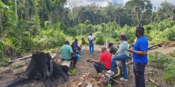 tra fas de gloria bottse