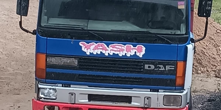 vuilophaal dumptruck para