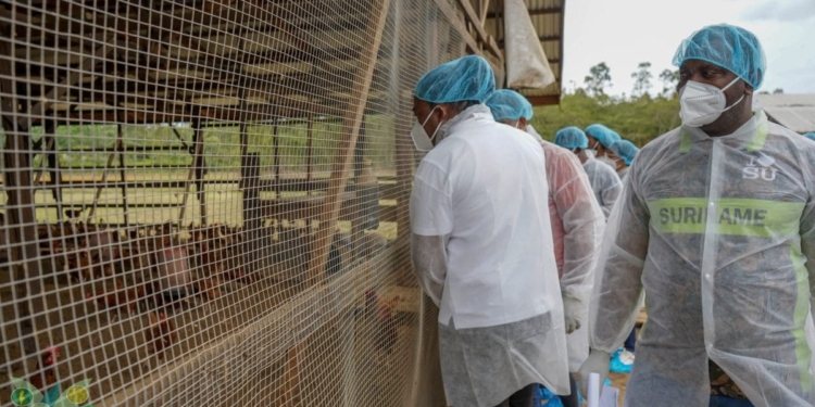 [Aggregator] Downloaded image for imported item #432585