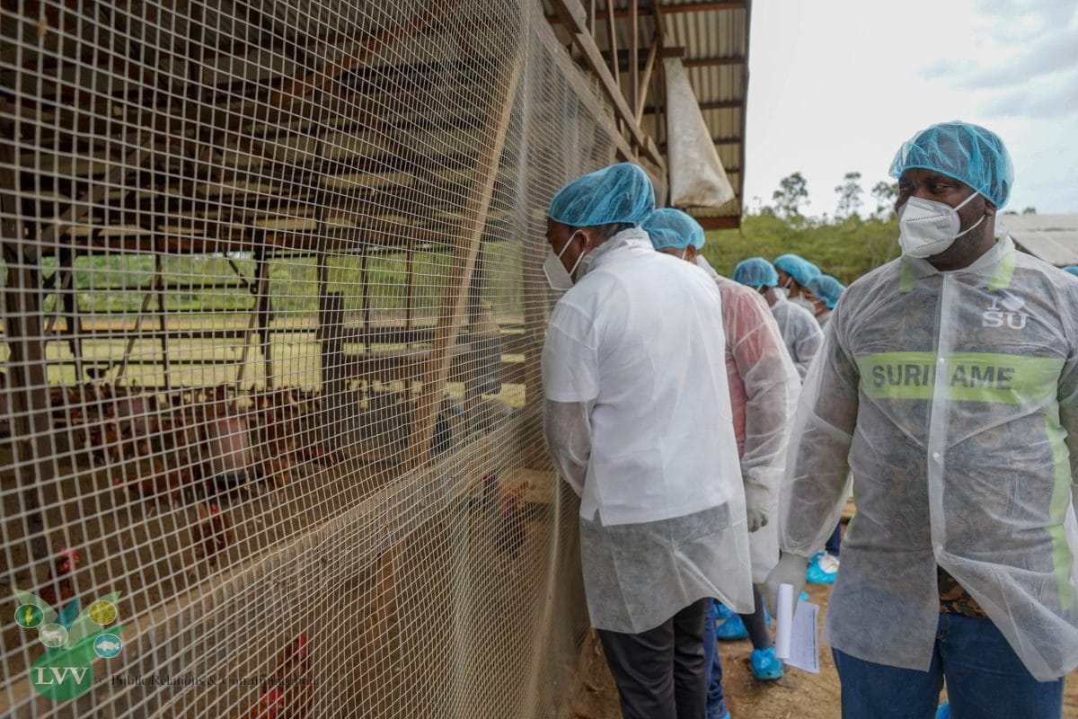 [Aggregator] Downloaded image for imported item #432585