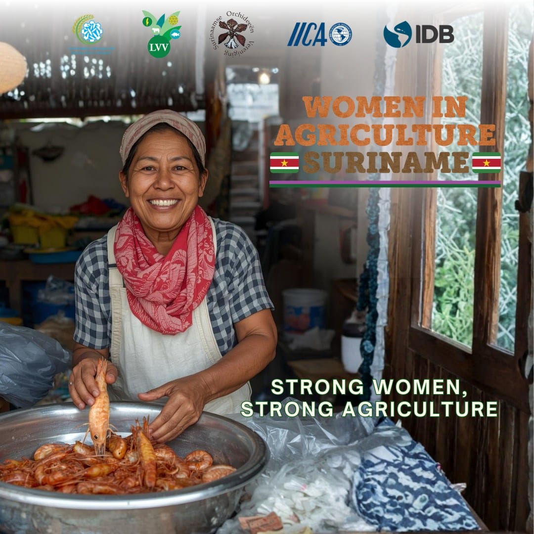 IICA-vertegenwoordiger Delice zegt dat klimaatverandering ongelijkheden voor vrouwen in landbouw vergroot