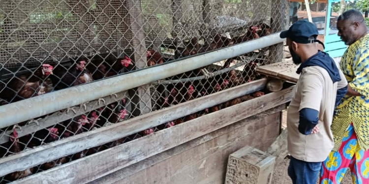 [Aggregator] Downloaded image for imported item #432293