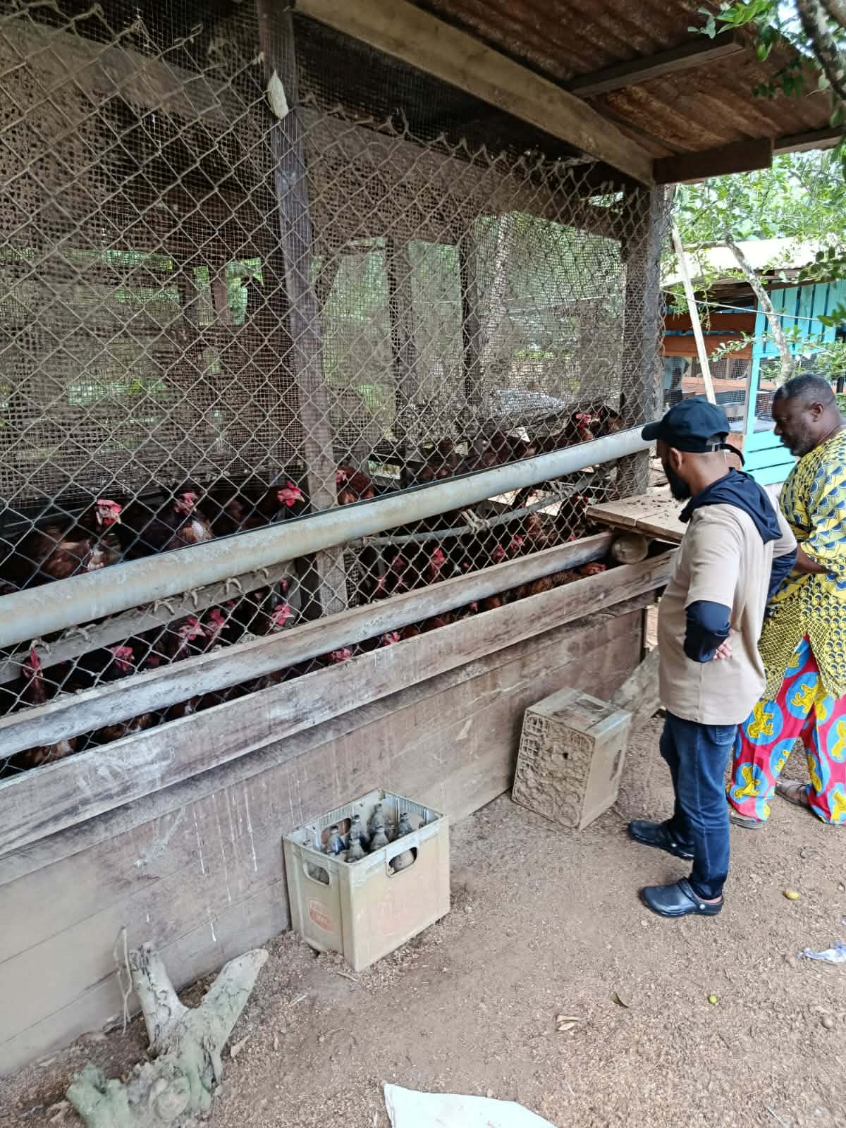 [Aggregator] Downloaded image for imported item #432293