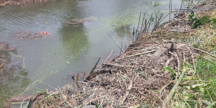 [Aggregator] Downloaded image for imported item #433356