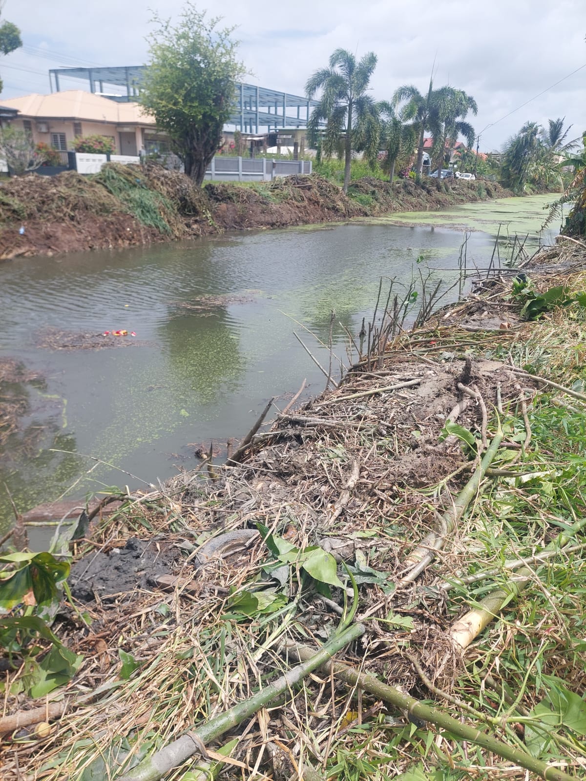 [Aggregator] Downloaded image for imported item #433356