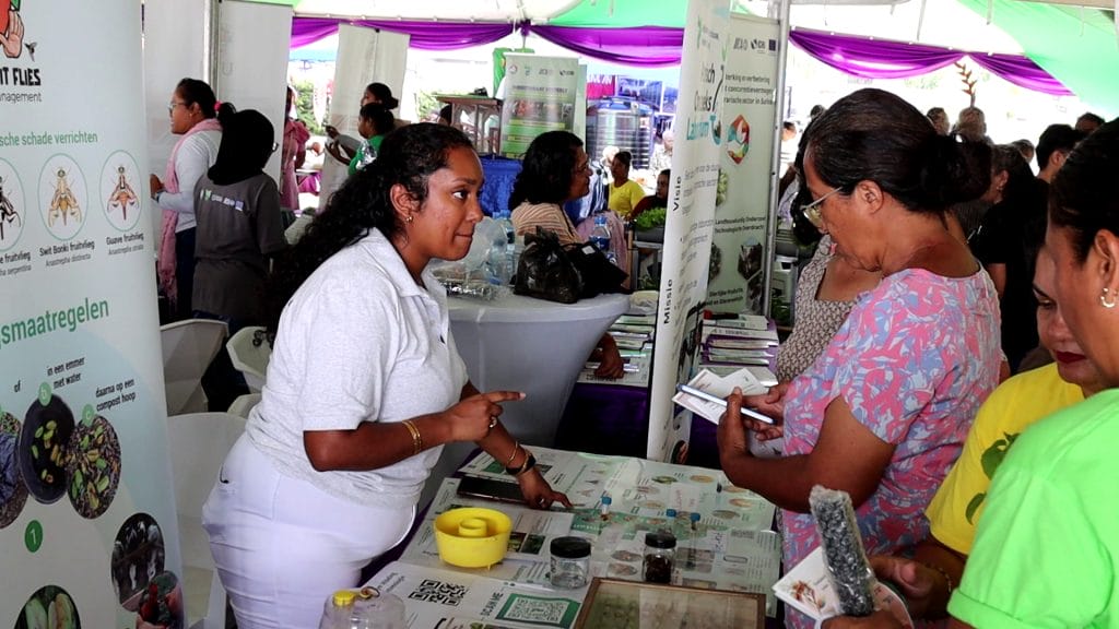 [Aggregator] Downloaded image for imported item #431952