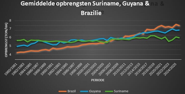 Grafiek VSB AG Rijstsector article