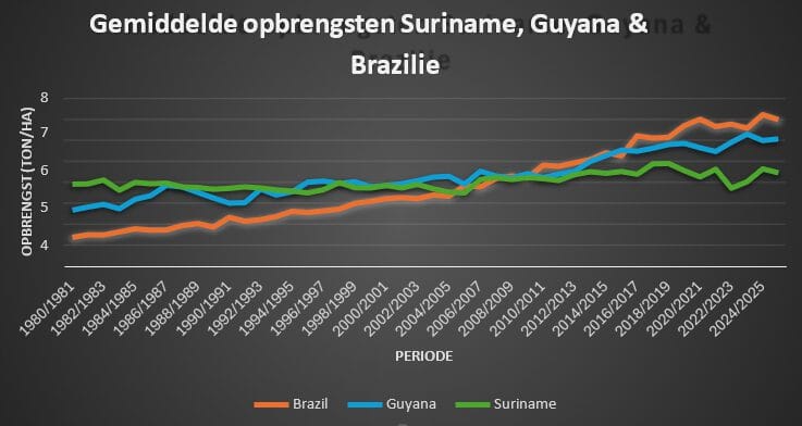 Grafiek VSB AG Rijstsector article