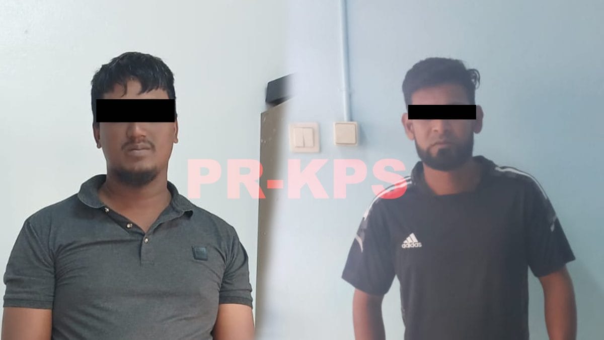 Politie pakte twee verdachten op voor diefstal van drie schapen uit stal in Nickerie