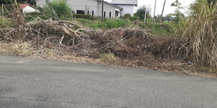 gramoxone onkruid perceel