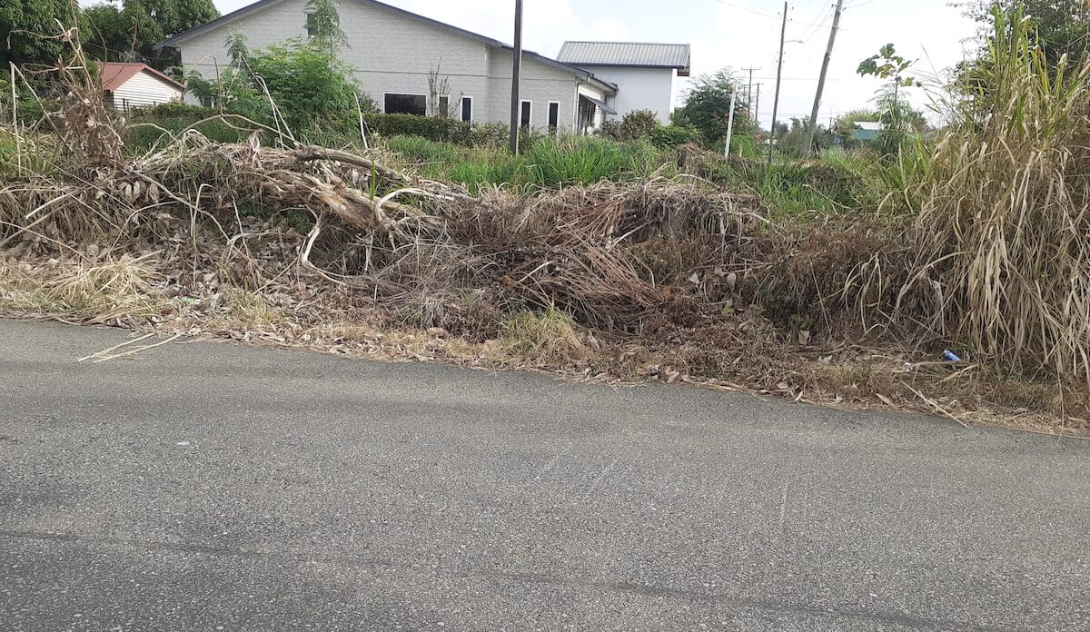 gramoxone onkruid perceel