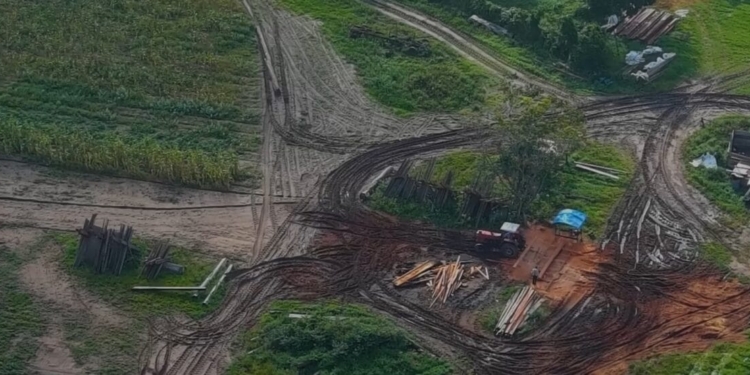 mennomieten kaalkap bos milieu