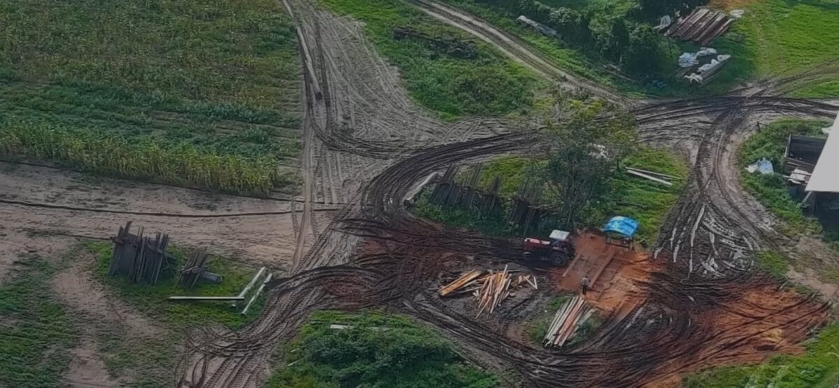 mennomieten kaalkap bos milieu