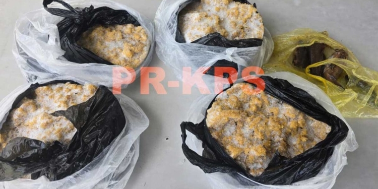 In beslag genomen kwie-kwie en eieren tijdens politiecontrole bij Burnside in Coronie.