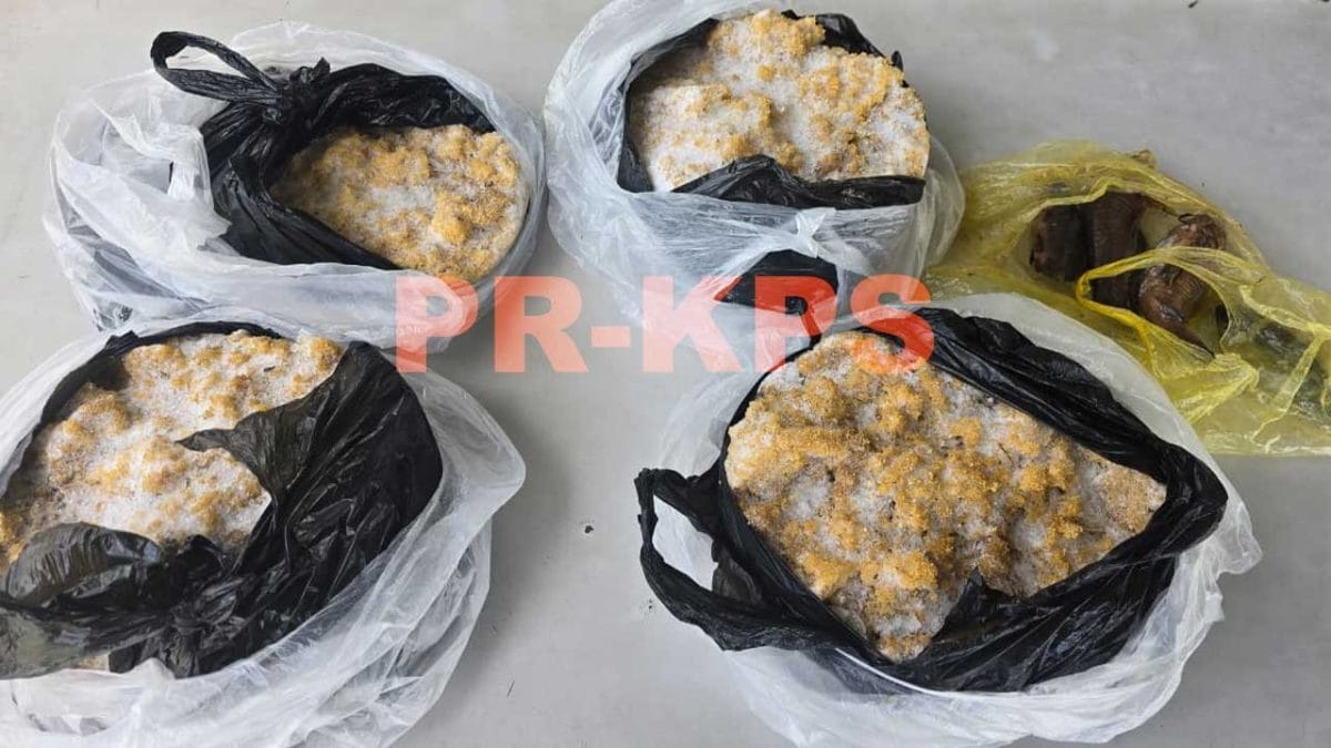 In beslag genomen kwie-kwie en eieren tijdens politiecontrole bij Burnside in Coronie.