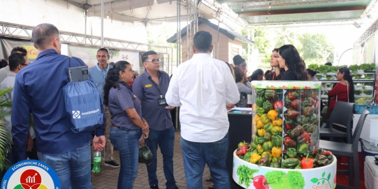 [Aggregator] Downloaded image for imported item #435776