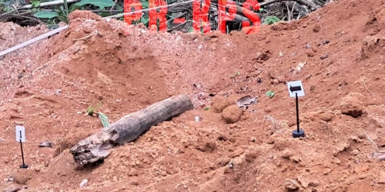 [Aggregator] Downloaded image for imported item #434427