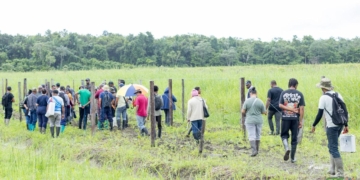 [Aggregator] Downloaded image for imported item #436128