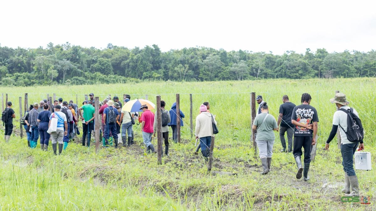 [Aggregator] Downloaded image for imported item #436128