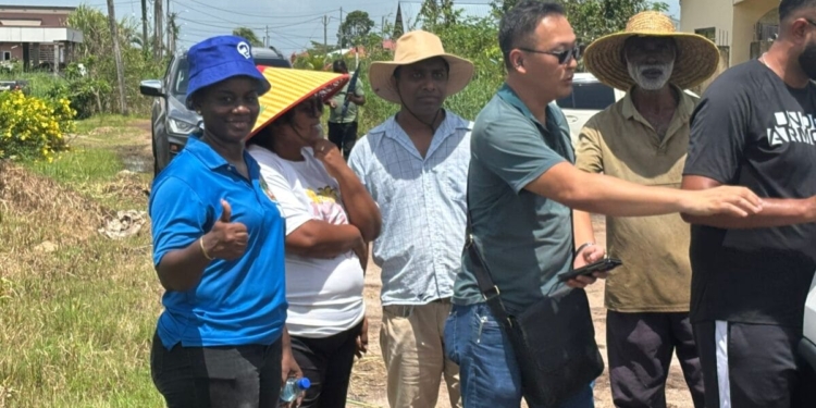 buurtmanaers tsang de nieuwe grond